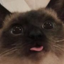 ask-meimei666-blog