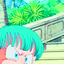 ccbulma-blog