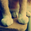 tabiast