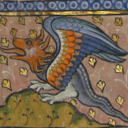 medievalcactuschronicles avatar