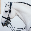 Compassionate riding - *RANT*