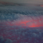 phoenixdust23