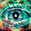 rising-above-all-blog