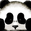 bisexual-bamboo