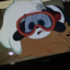 barebearsarebae