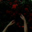 moonpaleskin