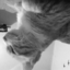 2806-0395-blog