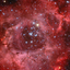 allons-y-rose-tyler-blog