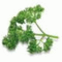 Partial Purification Plant
