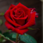 prettyyvibeezz-blog