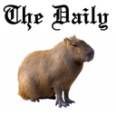 dailycapybara:  (via カピバラカピゴン capybara photos on Instagram) 
