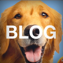 catbountry:  blogdogz:  audio is mandatory