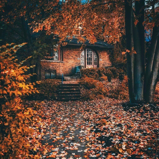 anessenceofautumn: anessenceofautumn 