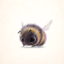 strictly-monotonic