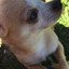 bre-mix-blog