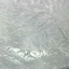 blackgorr