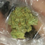 big420bear