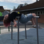 sim-the-fallen-fan