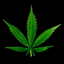 sex-weed-alcool