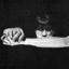arteroic