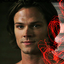spnroxmysox29
