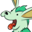 nadaporaca