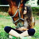 horse-lover-usa-blog avatar