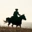 doffiepoldark