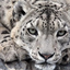 cheaters-eater-blog