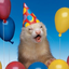 partyferret