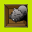 collectionssquirrel