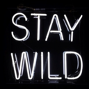https://64.media.tumblr.com/avatar_572c11565f51_512.png