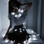 ananeacsusstuff-blog