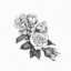 lacedflora-blog