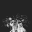 umamoruniverso-blog