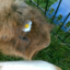 marialikesanimals-blog