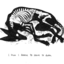 evinizinmetalheadi
