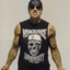 a7x113