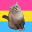 whackyalice-blog