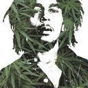 Legalize-se.