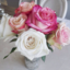 orchid4242