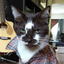 glennar-blog