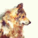 cronera-blog - Untitled