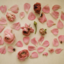 unicornsarelife122-blog