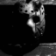 phantom-of-dixie-blog