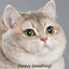 sgtpeppy