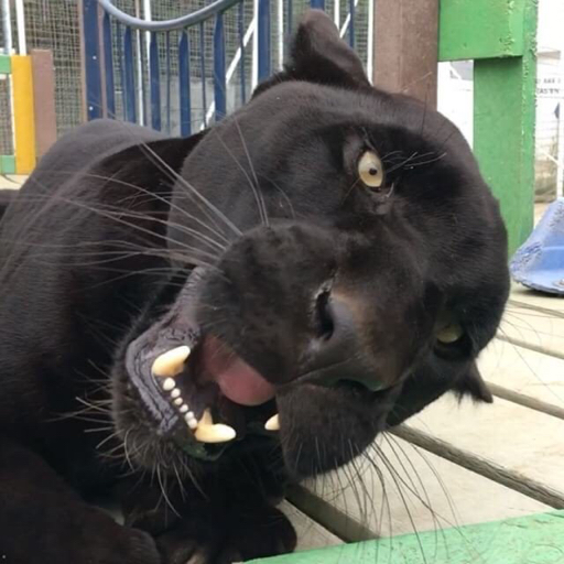 I'm a fuck up and I kinda want to die