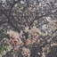 un-defined-mind-blog