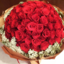 katelyn-ann-