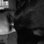blkmorning